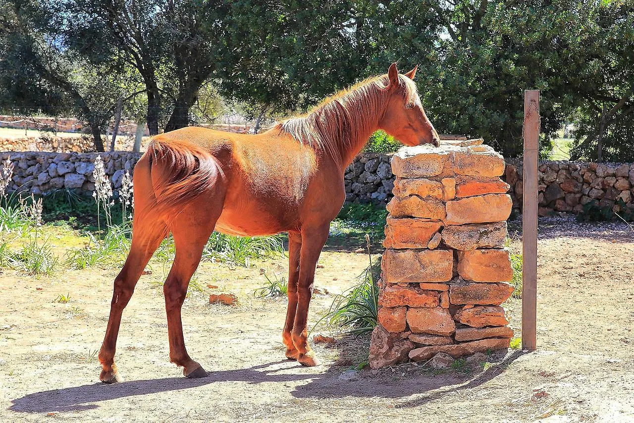 Prázdninový dům Sa Cabaneta S Original Etv 9570 By Mallorca Son Serra de Marina