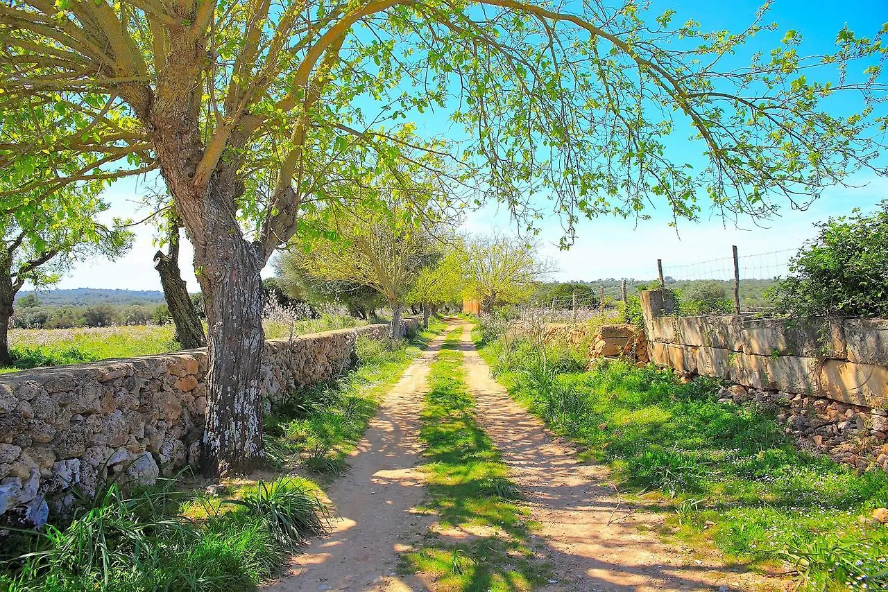 Holiday home Sa Cabaneta S Original Etv 9570 By Mallorca Son Serra de Marina Spain